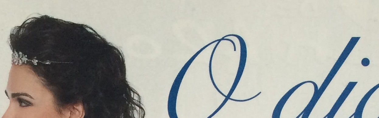 REVISTA FIGURINO NOIVAS